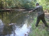 We_now_offer_Deer_Fishing_Packages